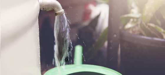 Regenwassernutzung spart Ressourcen Regentonne