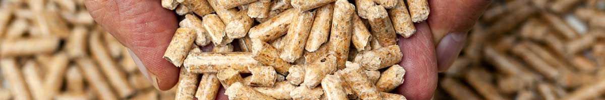 Achten Sie darauf, dass Pellets aus Holzabfällen bestehen Pelletheizung